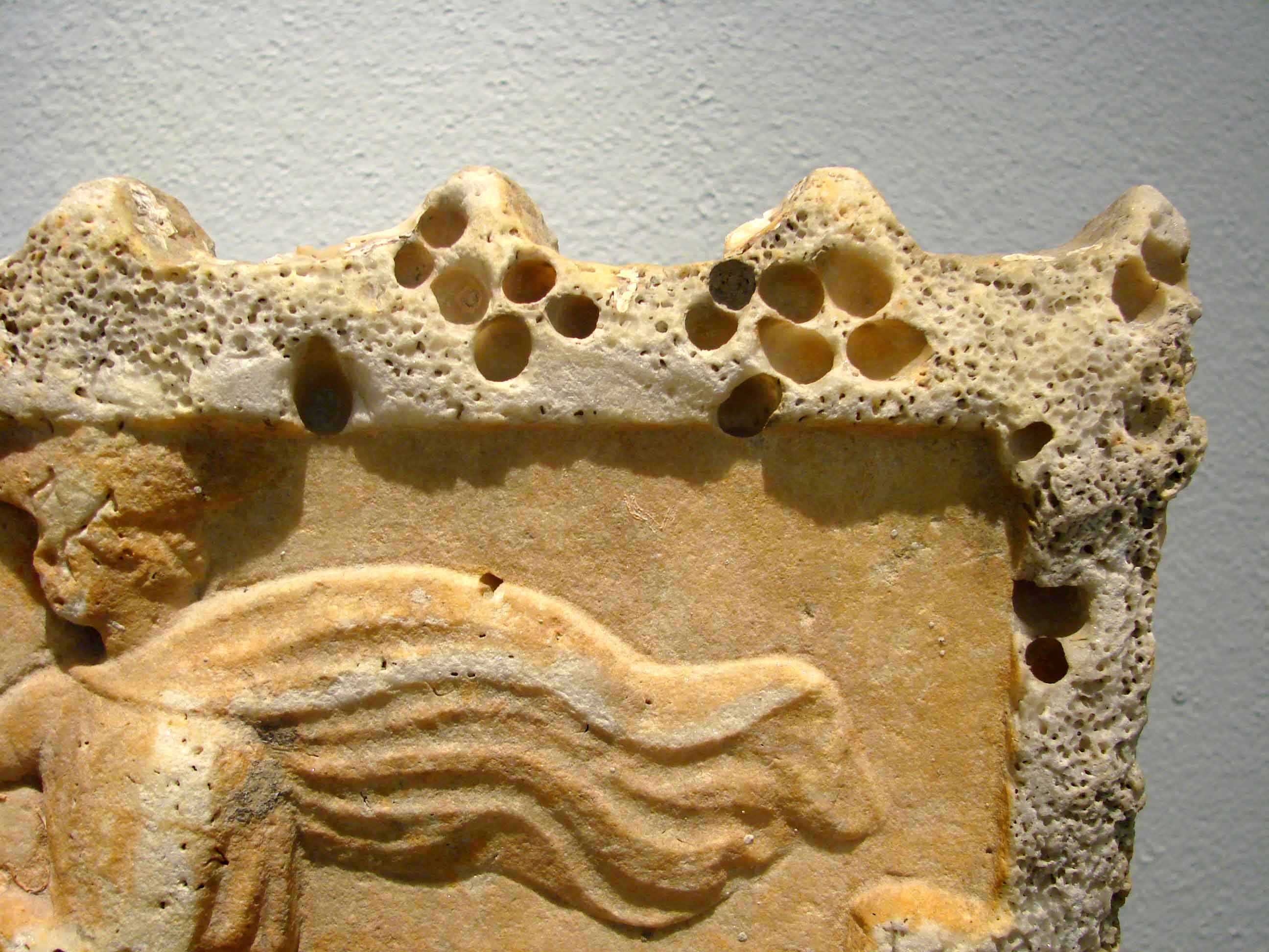 l'' imperatore Decimus Coelius Balbinus ed i suoi fossili...: